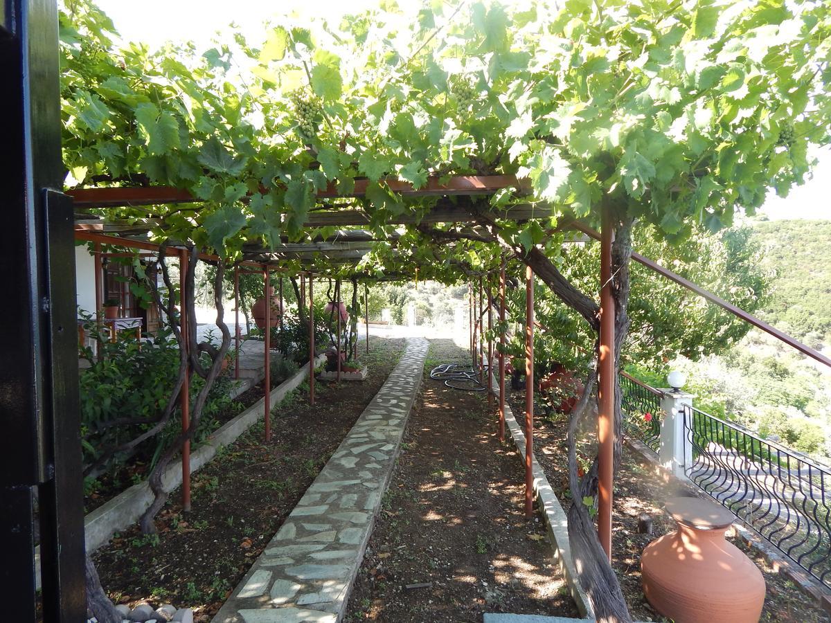 Ktena Apartments Platanias  Bagian luar foto